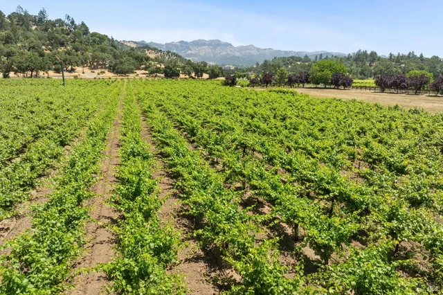 $9,750,000 | 3567 Highway 128, Calistoga, CA 94515