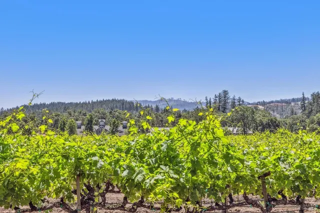 $9,750,000 | 3567 Highway 128, Calistoga, CA 94515