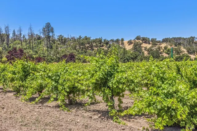 $9,750,000 | 3567 Highway 128, Calistoga, CA 94515