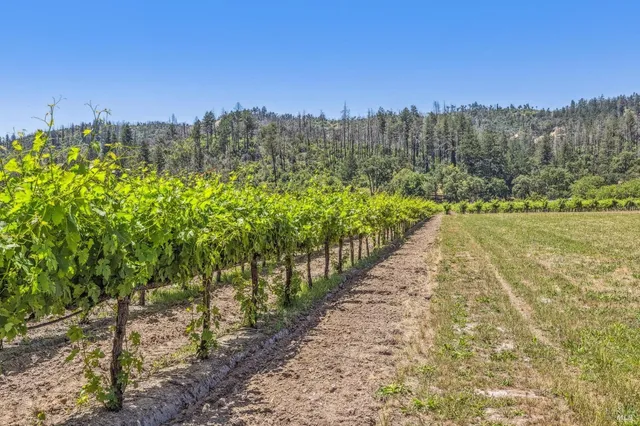 $9,750,000 | 3567 Highway 128, Calistoga, CA 94515