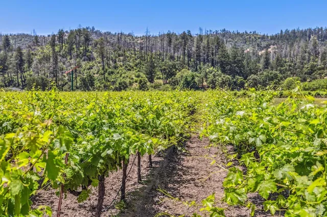 $9,750,000 | 3567 Highway 128, Calistoga, CA 94515