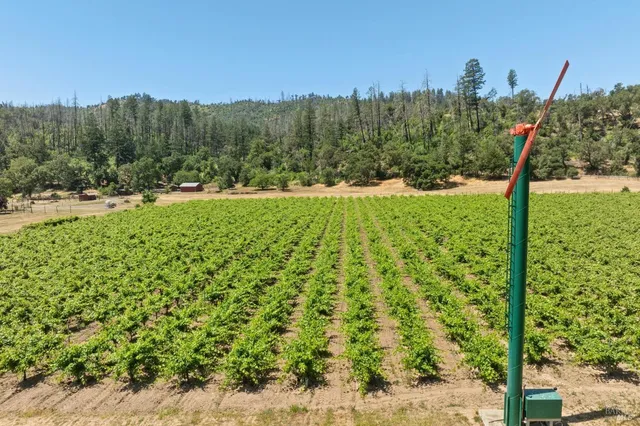 $9,750,000 | 3567 Highway 128, Calistoga, CA 94515