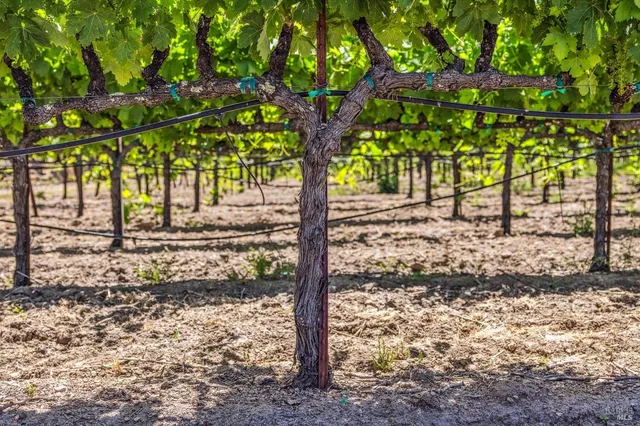 $9,750,000 | 3567 Highway 128, Calistoga, CA 94515