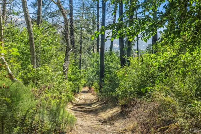 $9,750,000 | 3567 Highway 128, Calistoga, CA 94515