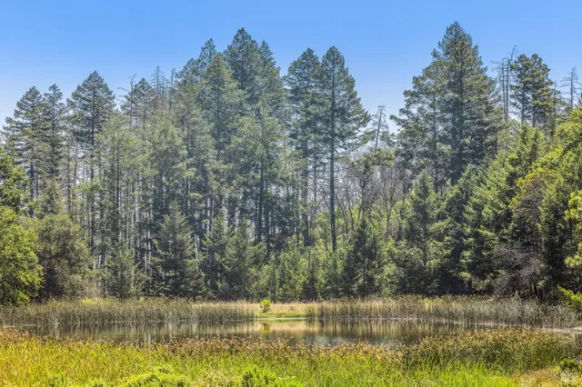 $9,750,000 | 3567 Highway 128, Calistoga, CA 94515