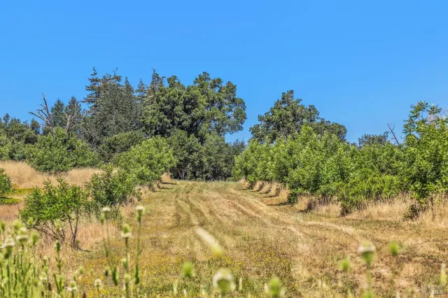 $9,750,000 | 3567 Highway 128, Calistoga, CA 94515
