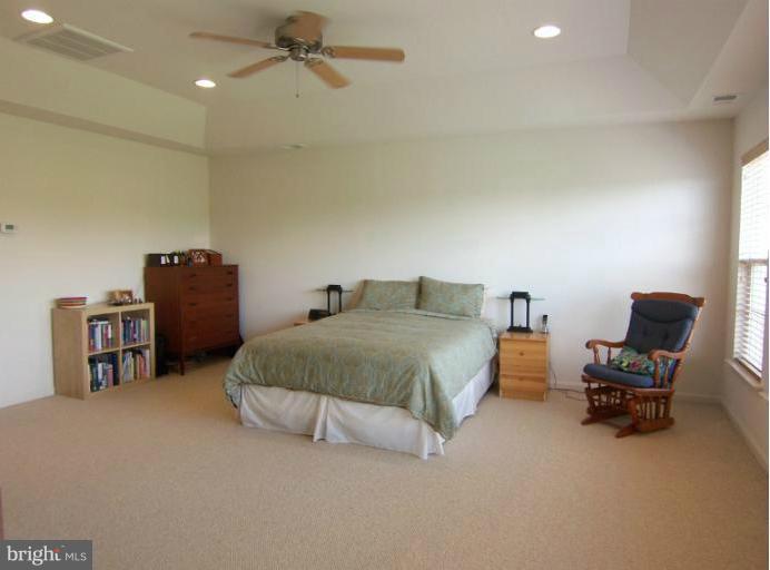 6613 Pebble Brooke Road Baltimore, MD 21209 - Photo 7 of 28 Master bedroom with tray ceiilng