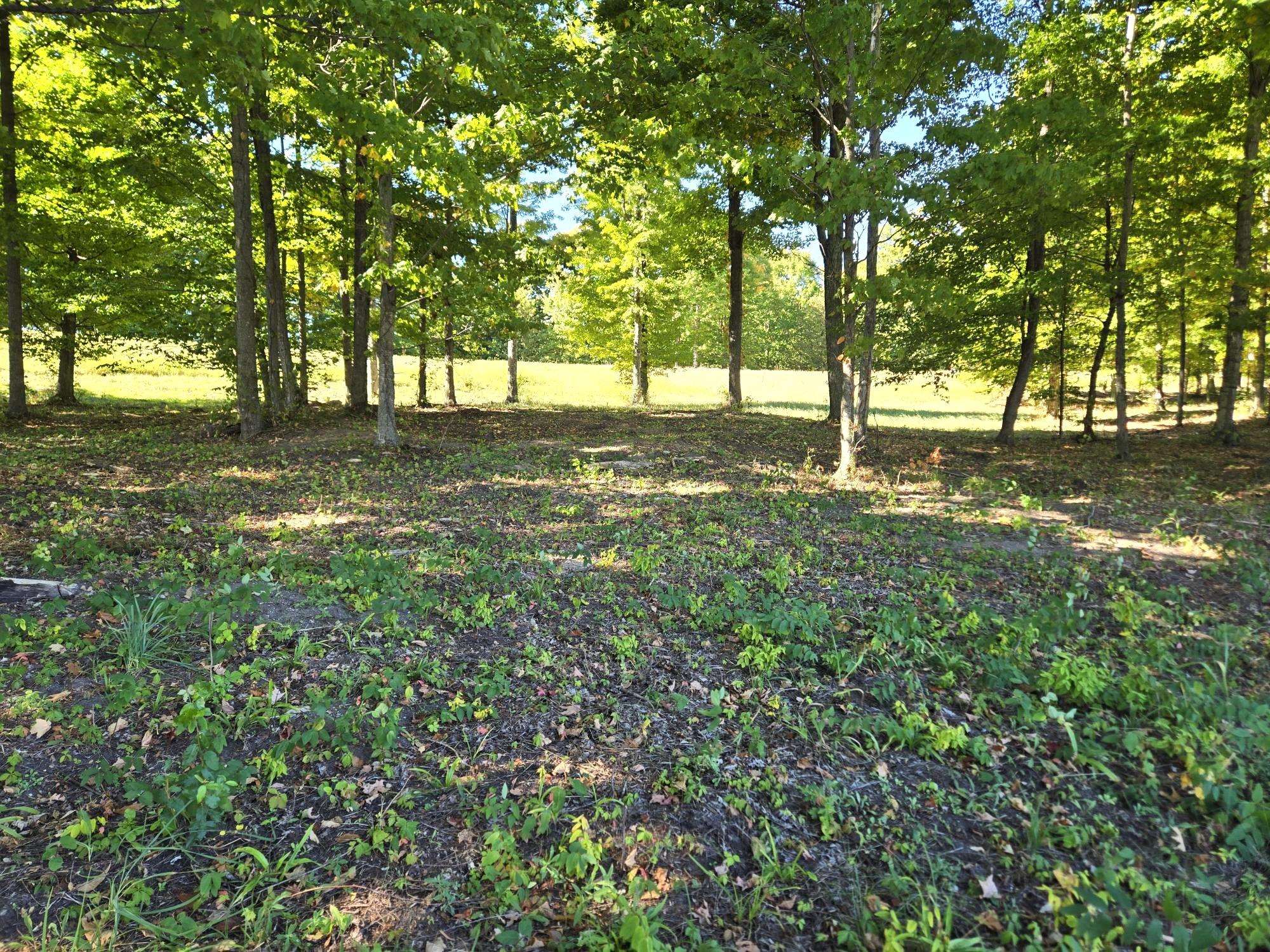 19 Heather Ridge Trail Beulah, MI 49617 - Photo 3 of 11