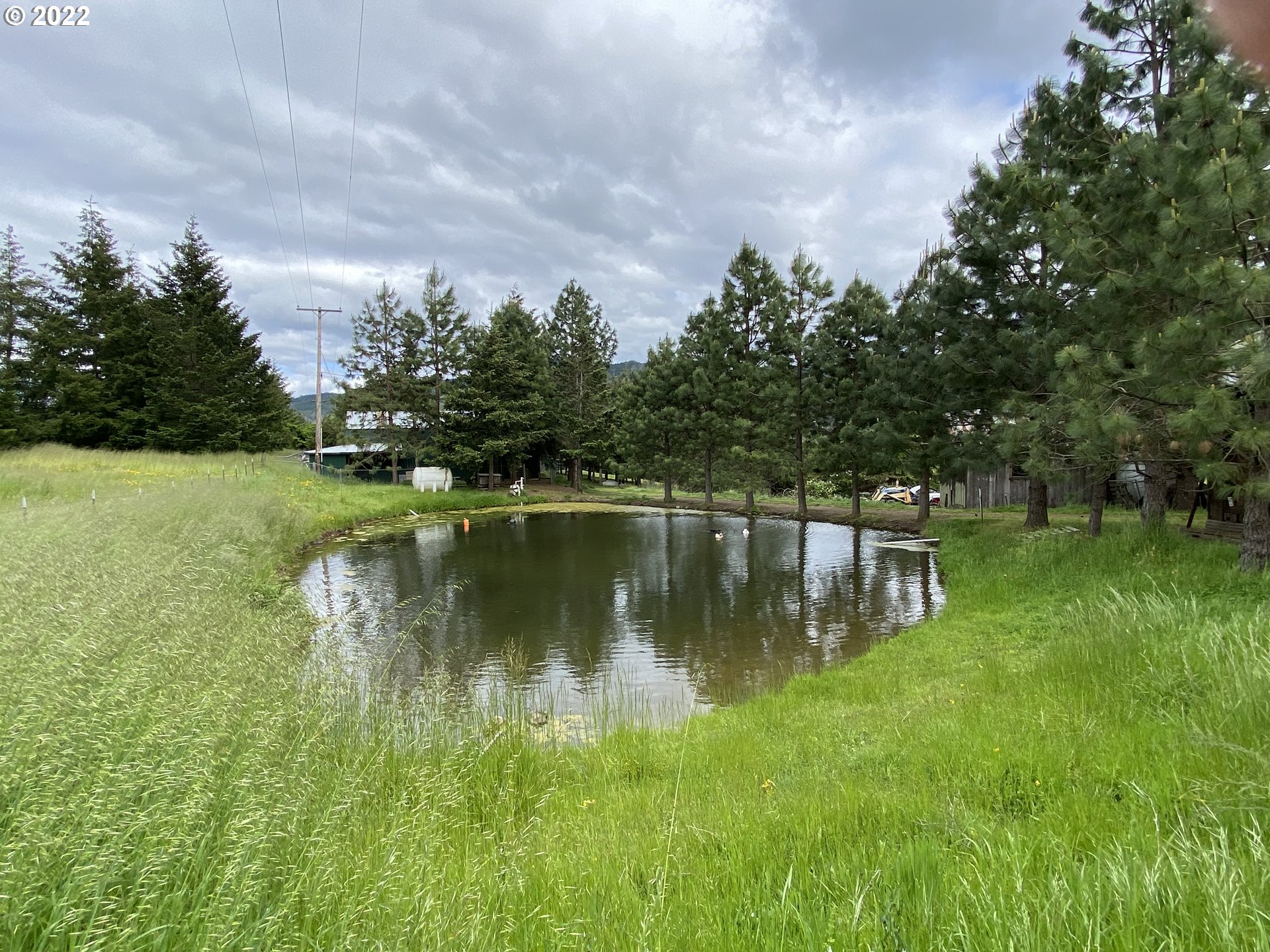 1307 Weaver Road Myrtle Creek, OR 97457 - Photo 3 of 29 Pond