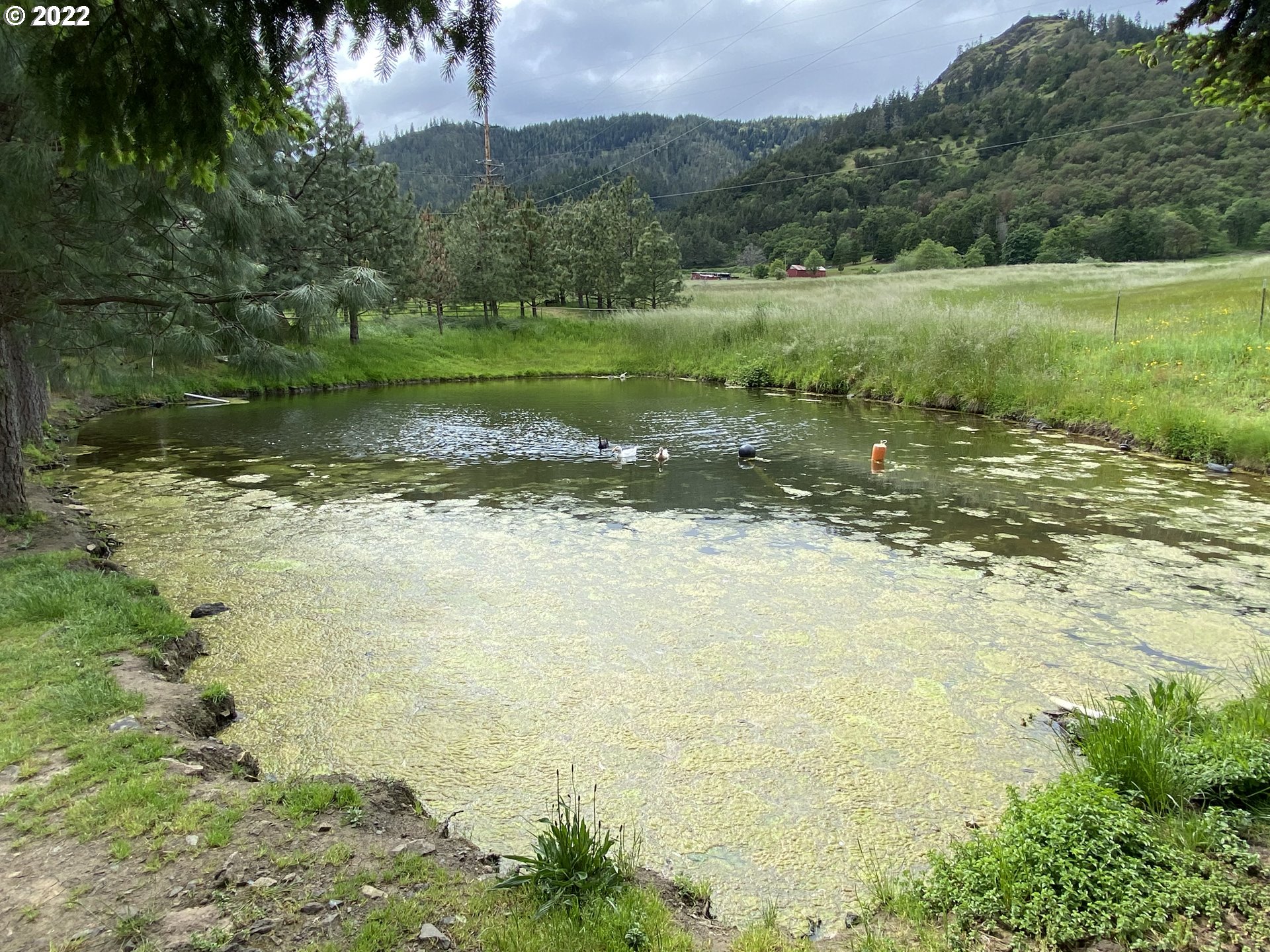 1307 Weaver Road Myrtle Creek, OR 97457 - Photo 4 of 29 Pond