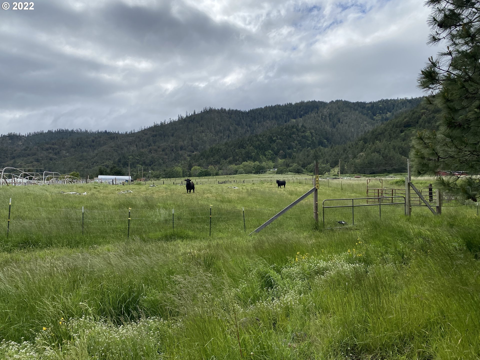 1307 Weaver Road Myrtle Creek, OR 97457 - Photo 6 of 29