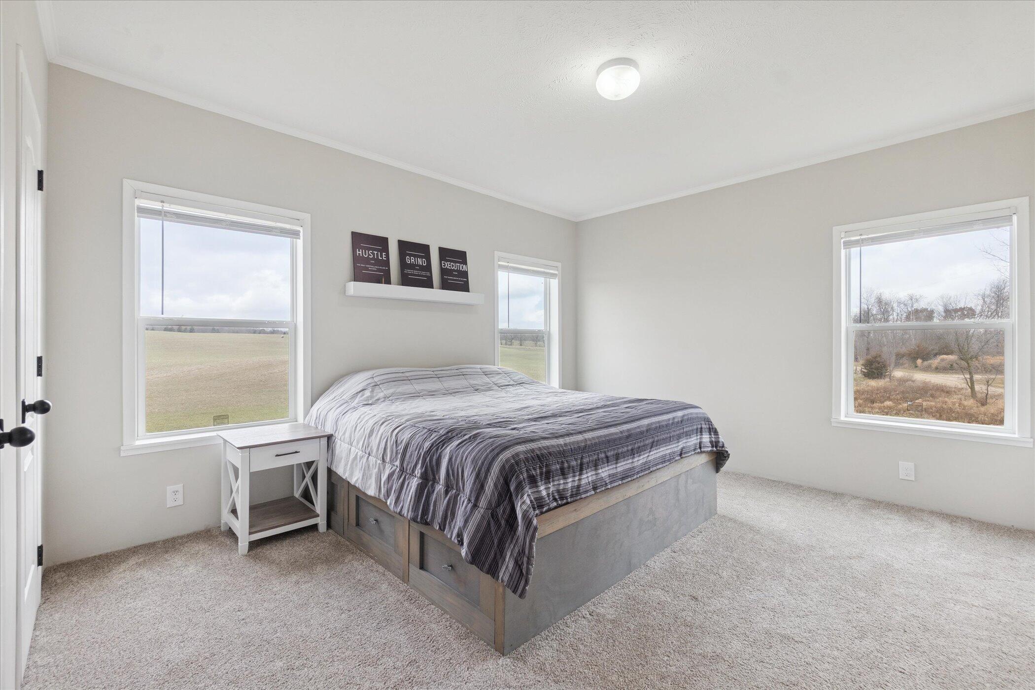 7255 Beahan Road Hubbardston, MI 48845 - Photo 14 of 34 16-7255 Beahan Rd Hubbardston-Windowstil