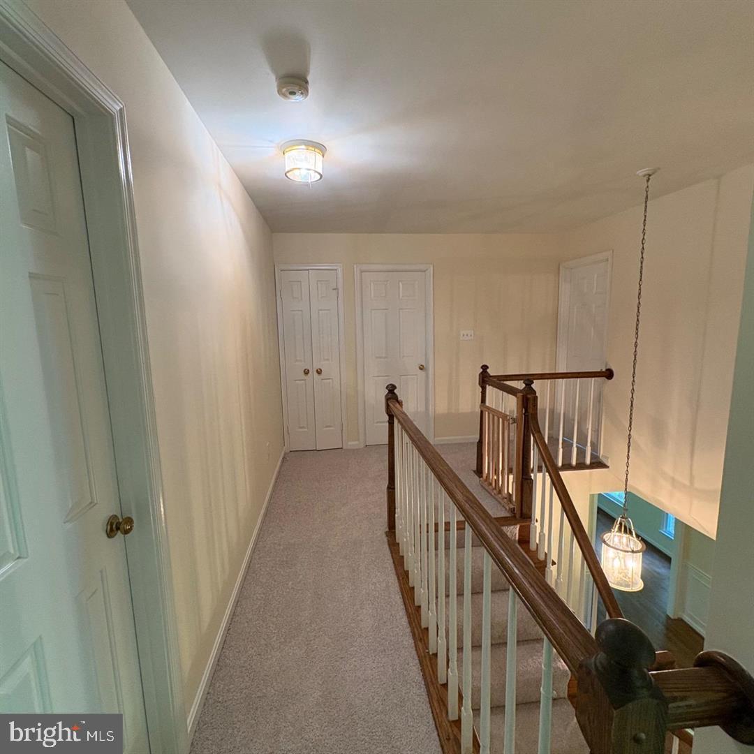3502 Holly Road Annandale, VA 22003 - Photo 43 of 55 Gallery Image 43