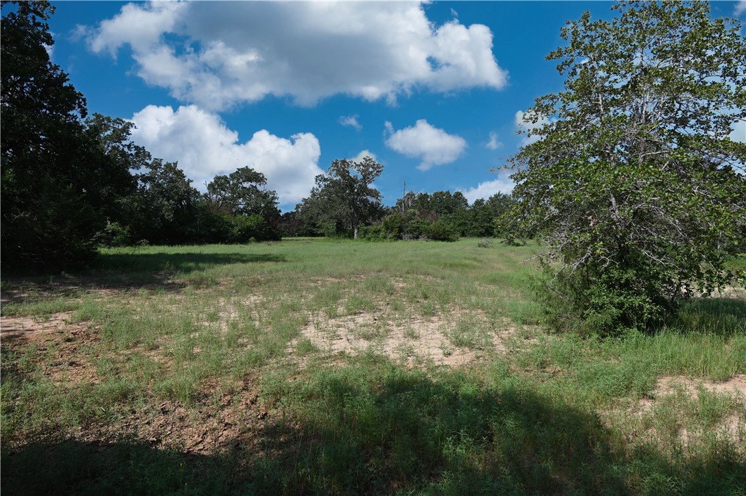 12538 South E B Watson County Road Southeast Bremond, TX 76629 - Photo 11 of 25 a view of a field with an trees