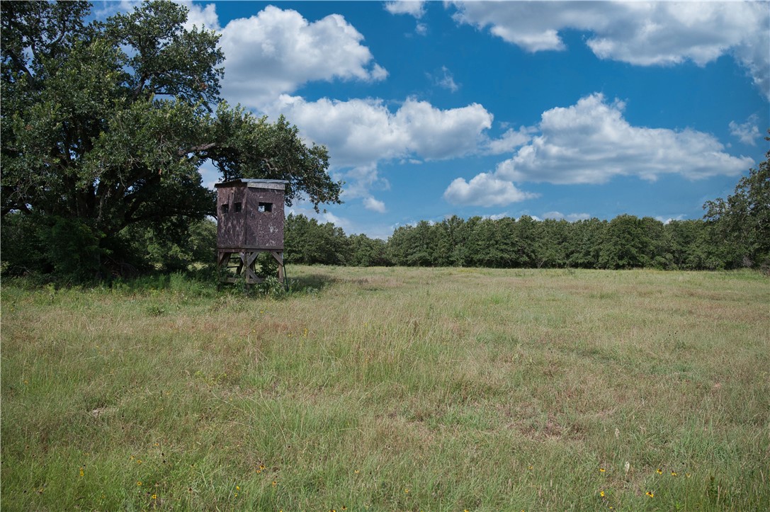 12538 South E B Watson County Road Southeast Bremond, TX 76629 - Photo 12 of 25 a view of a lake view