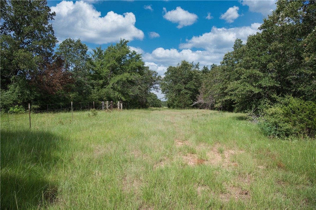 12538 South E B Watson County Road Southeast Bremond, TX 76629 - Photo 13 of 25 a view of a green field with wooden fence