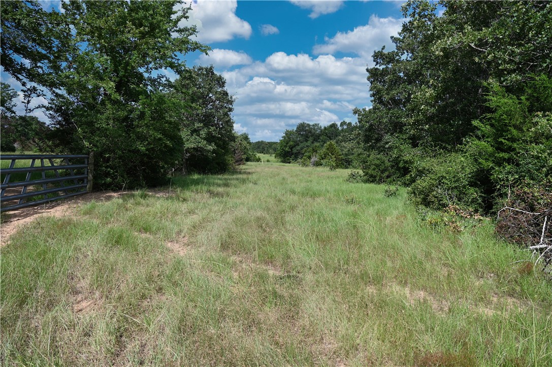 12538 South E B Watson County Road Southeast Bremond, TX 76629 - Photo 14 of 25 a view of backyard with green space