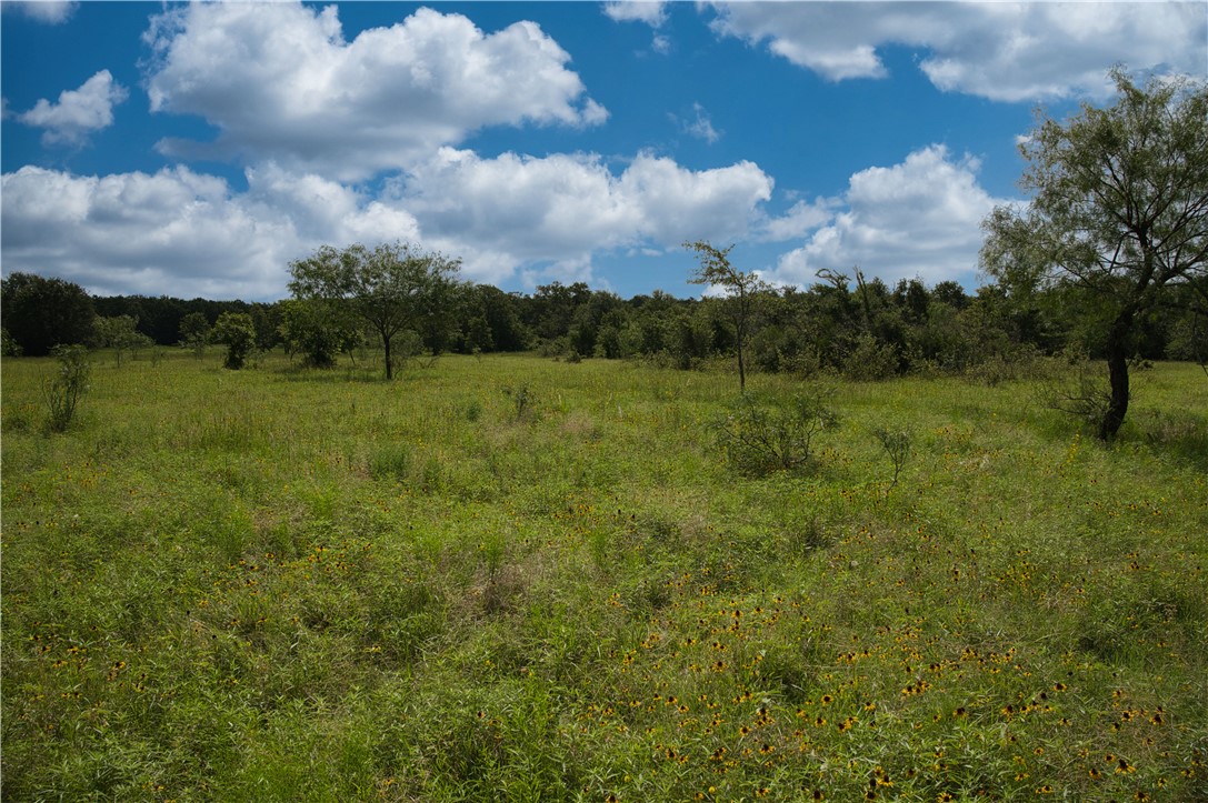 12538 South E B Watson County Road Southeast Bremond, TX 76629 - Photo 16 of 25 a view of an outdoor space and a yard