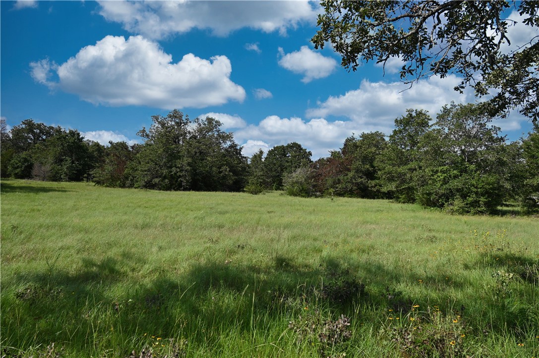 12538 South E B Watson County Road Southeast Bremond, TX 76629 - Photo 18 of 25 a view of a big yard with large trees