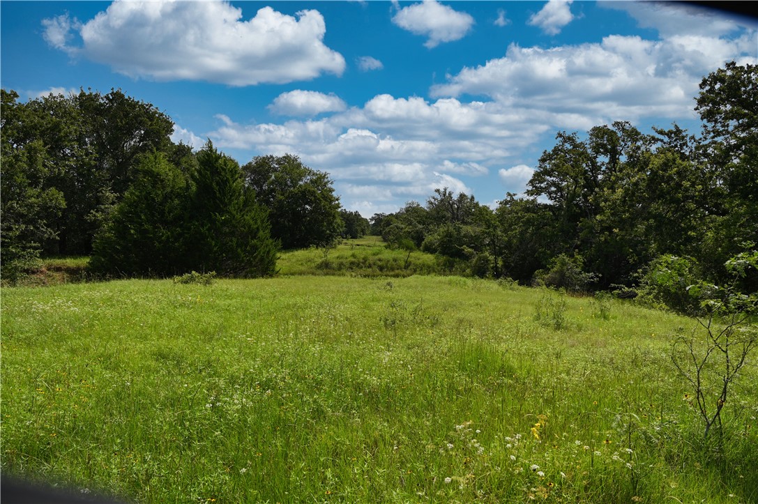 12538 South E B Watson County Road Southeast Bremond, TX 76629 - Photo 19 of 25 a view of a green yard