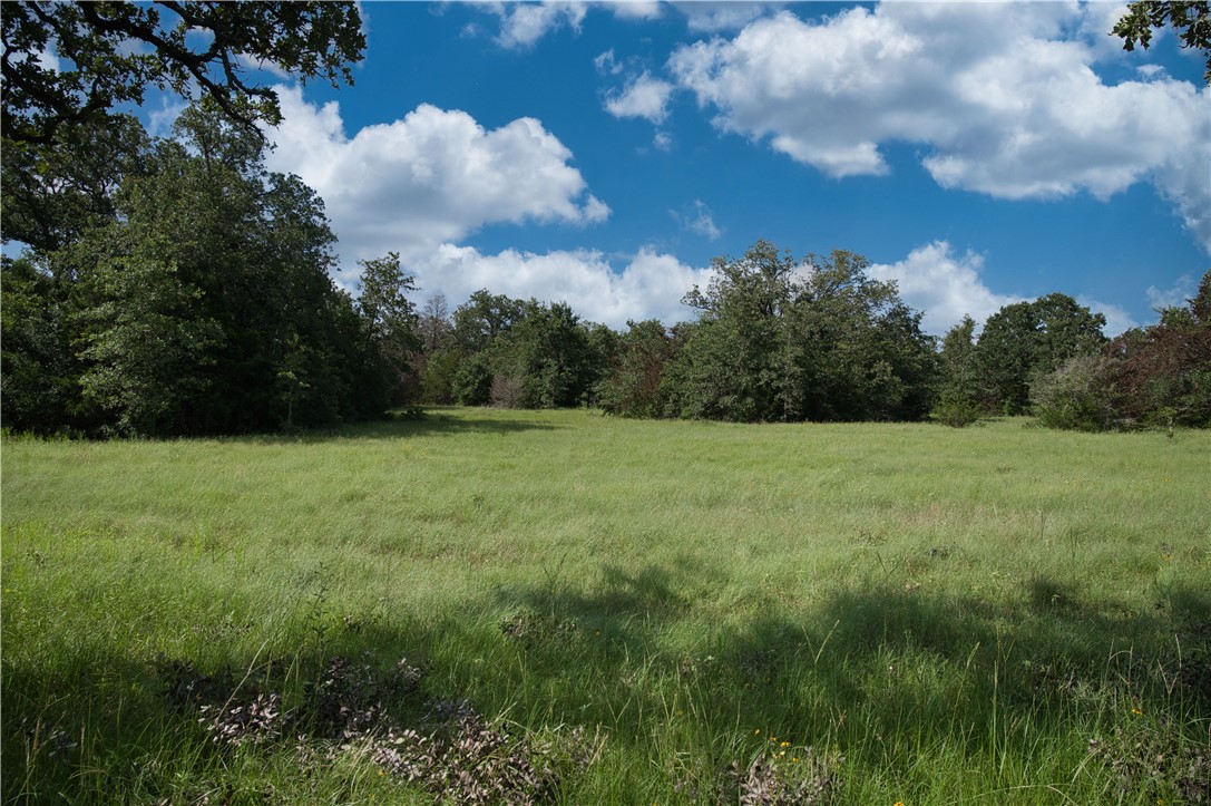 12538 South E B Watson County Road Southeast Bremond, TX 76629 - Photo 20 of 25 a view of a garden
