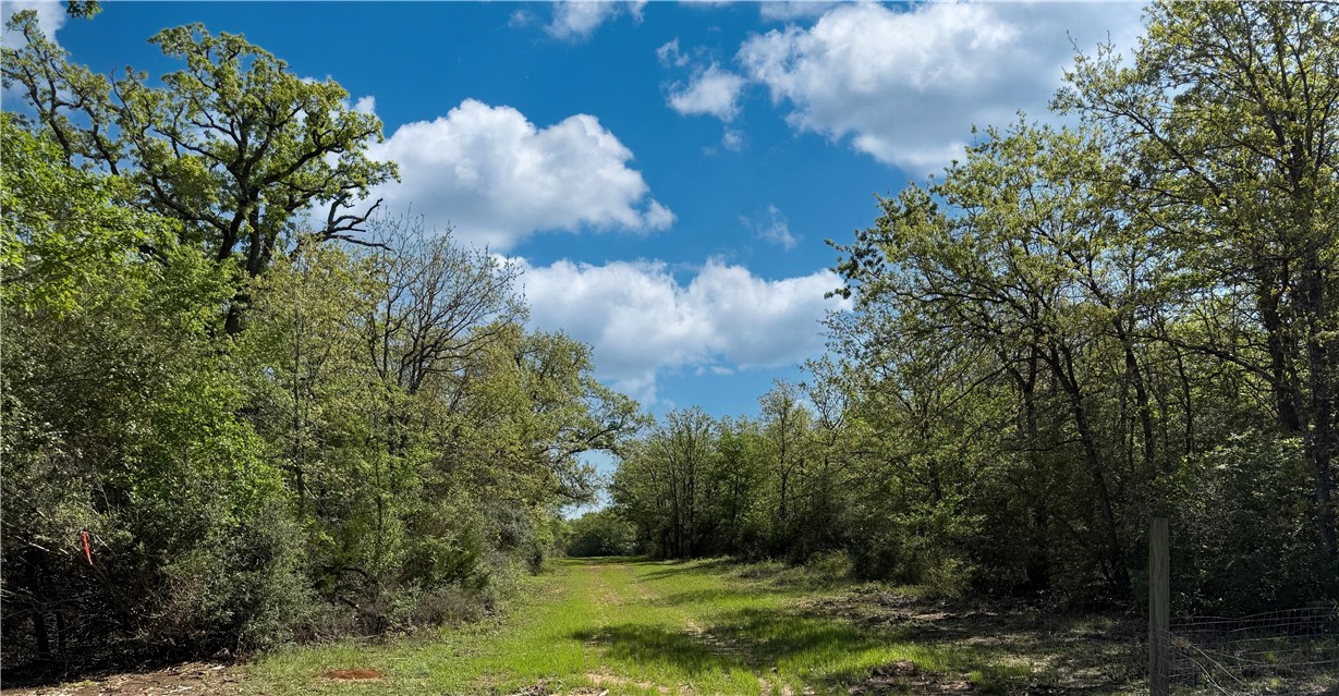 12538 South E B Watson County Road Southeast Bremond, TX 76629 - Photo 2 of 25 a view of a garden with a fountain