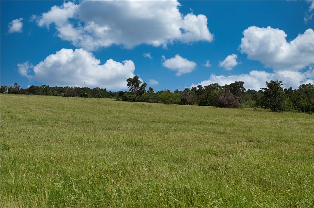 12538 South E B Watson County Road Southeast Bremond, TX 76629 - Photo 21 of 25 a view of a big yard with lots of green space