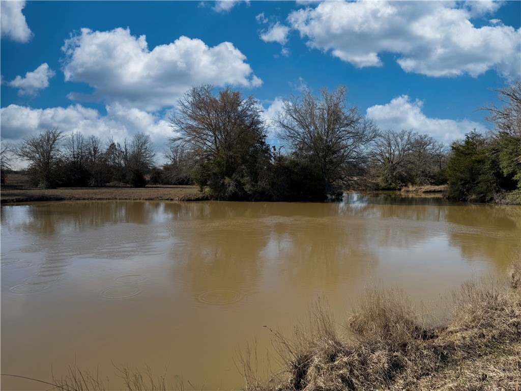 12538 South E B Watson County Road Southeast Bremond, TX 76629 - Photo 23 of 25 a view of a lake with a city