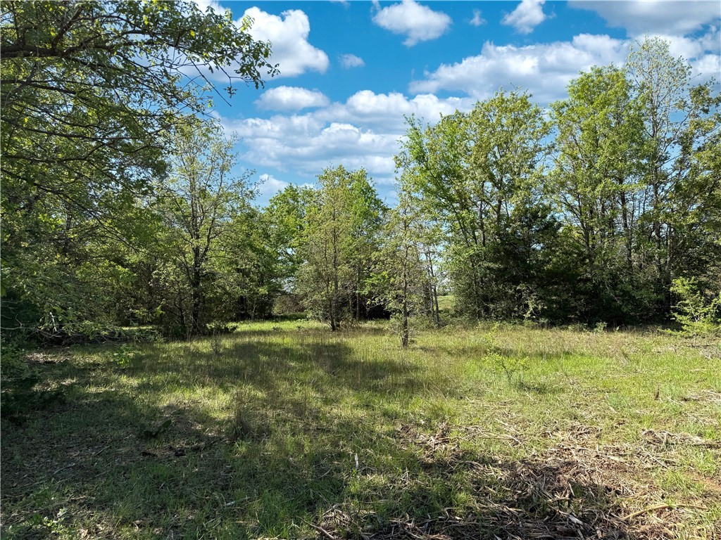 12538 South E B Watson County Road Southeast Bremond, TX 76629 - Photo 3 of 25 a backyard of a house with lots of green space