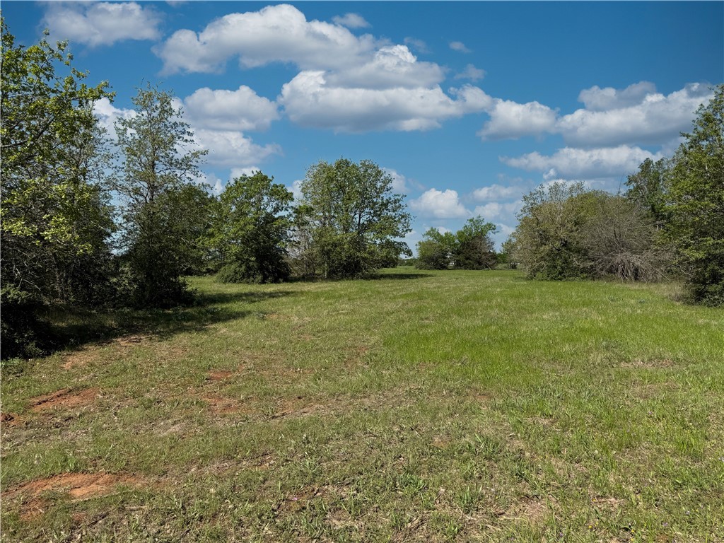 12538 South E B Watson County Road Southeast Bremond, TX 76629 - Photo 4 of 25 a view of a field with trees in the background