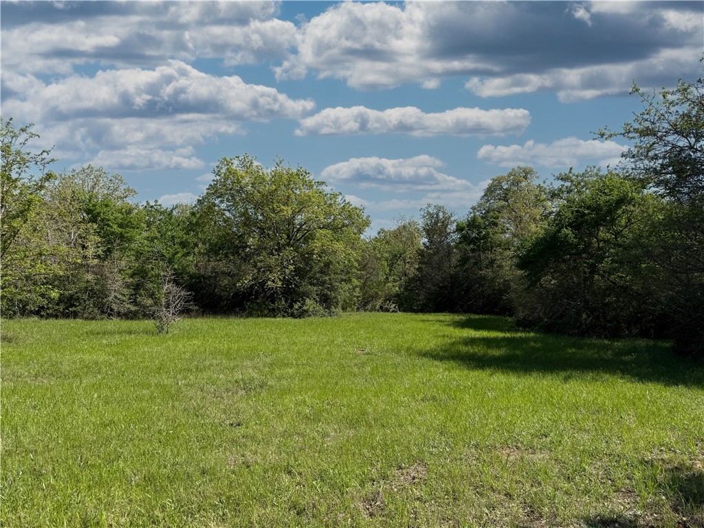 12538 South E B Watson County Road Southeast Bremond, TX 76629 - Photo 5 of 25 a view of a field of grass and trees