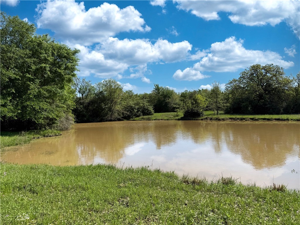 12538 South E B Watson County Road Southeast Bremond, TX 76629 - Photo 6 of 25