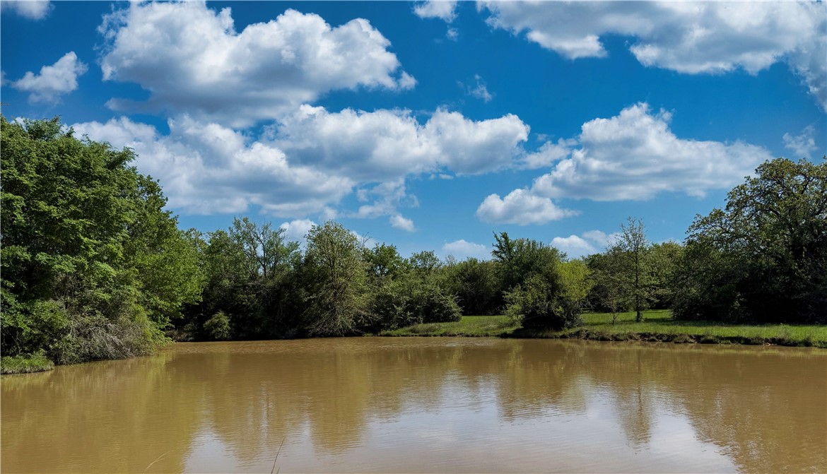 12538 South E B Watson County Road Southeast Bremond, TX 76629 - Photo 7 of 25 a view of a lake with houses in the background