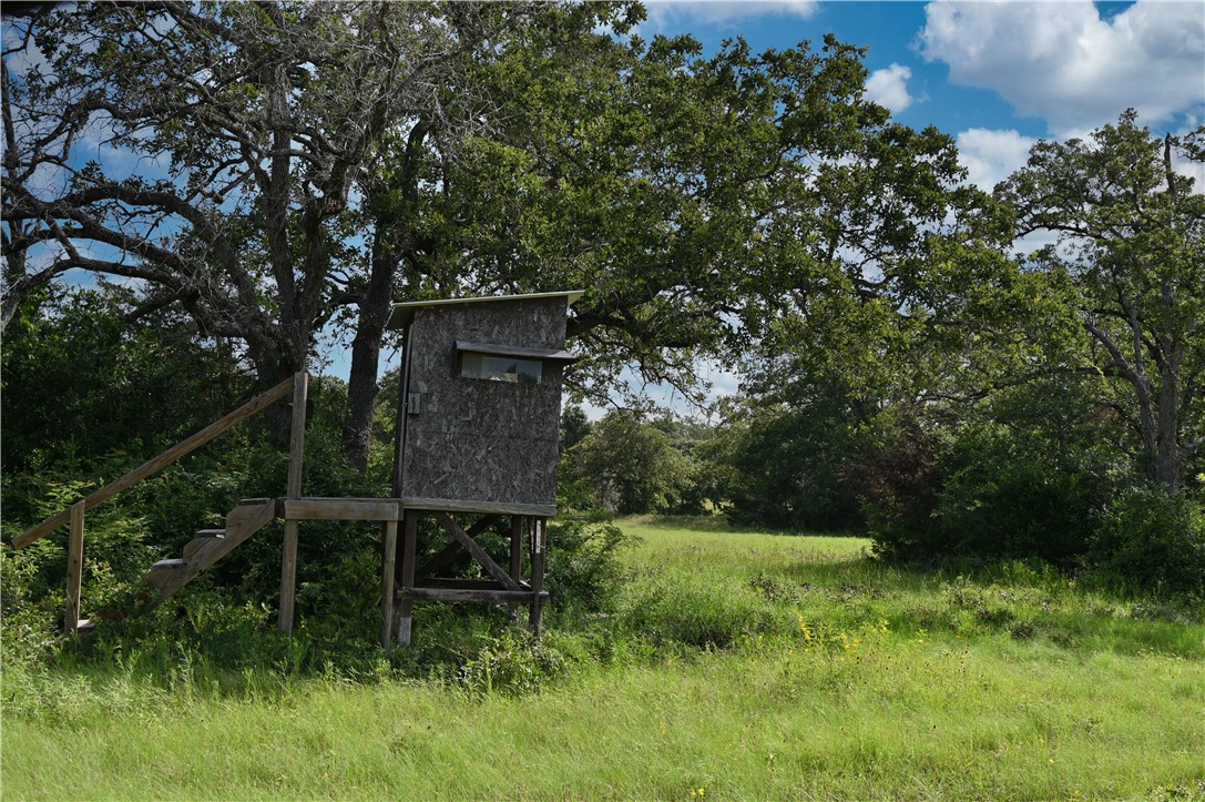 12538 South E B Watson County Road Southeast Bremond, TX 76629 - Photo 8 of 25 a view of backyard with green space