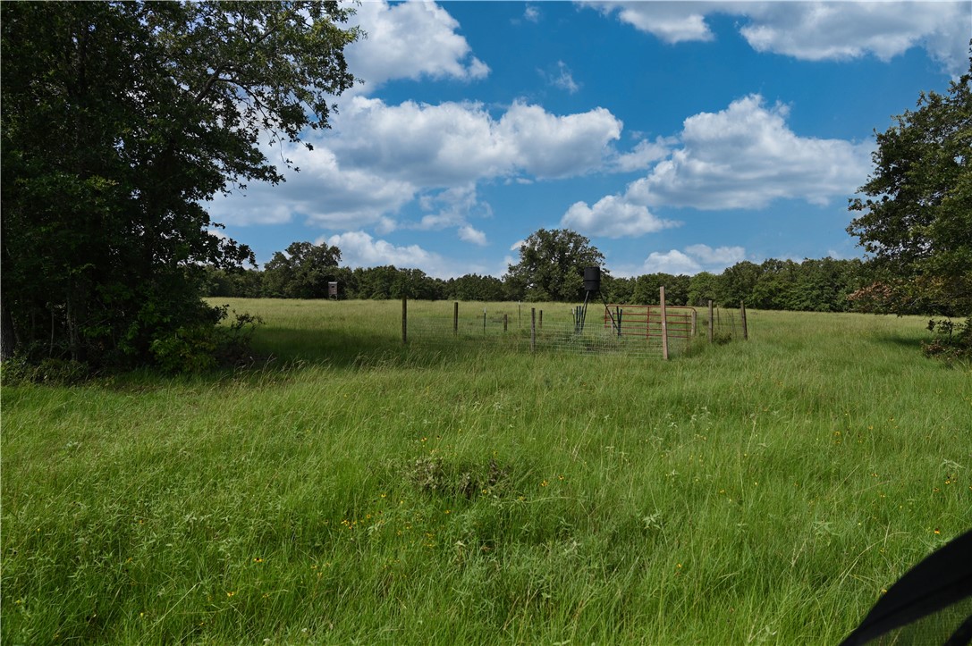 12538 South E B Watson County Road Southeast Bremond, TX 76629 - Photo 10 of 25 a view of an outdoor space and a yard