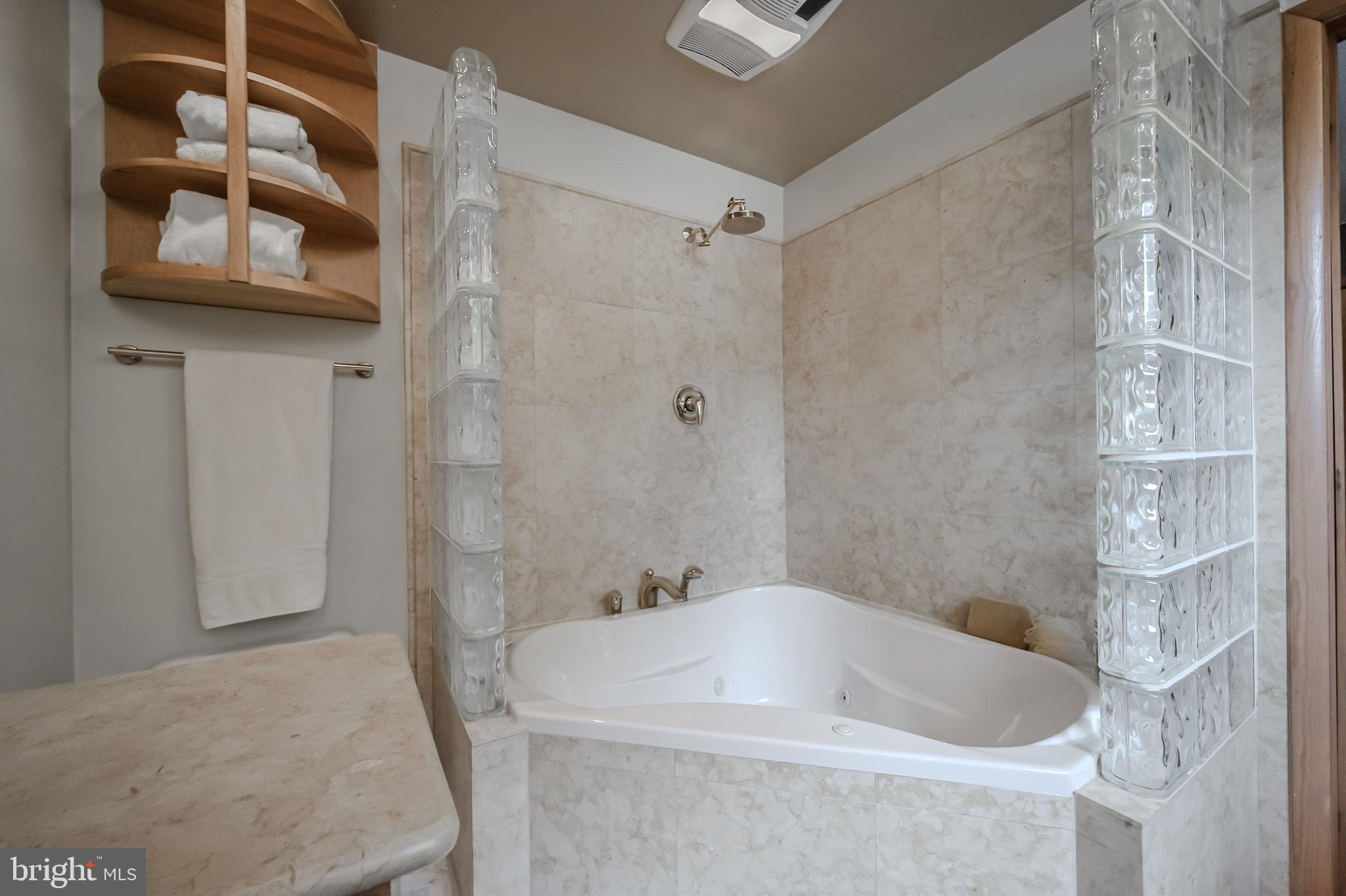 33 Morgan Hollow Way Landenberg, PA 19350 - Photo 44 of 60 You'll find glass block walls here too