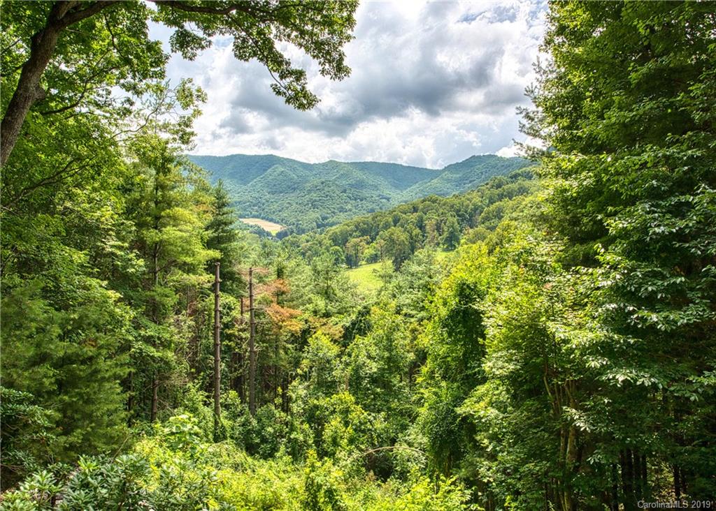 822 Camp Branch Road Waynesville, NC 28786 - Photo 2 of 36 Gallery Image 2