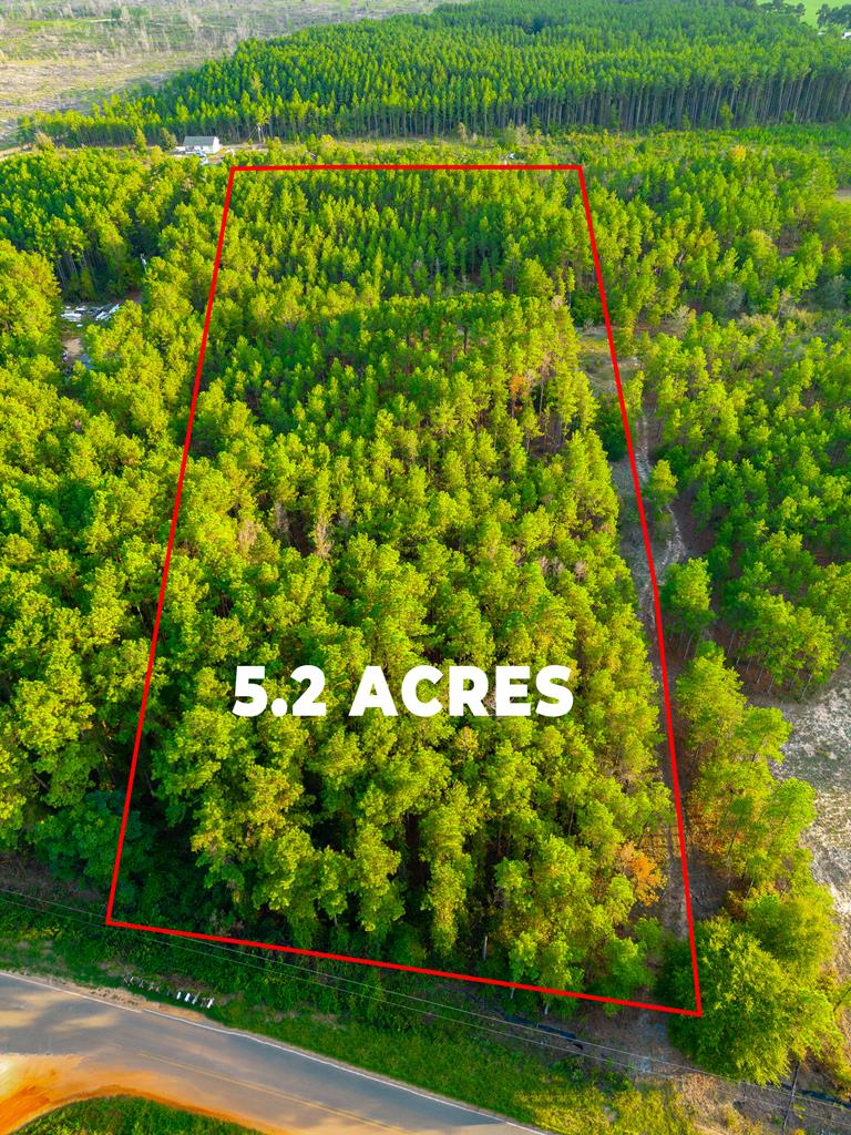 346 Kirkland Store Road Mauk, GA 31058 - Photo 1 of 10 Main View