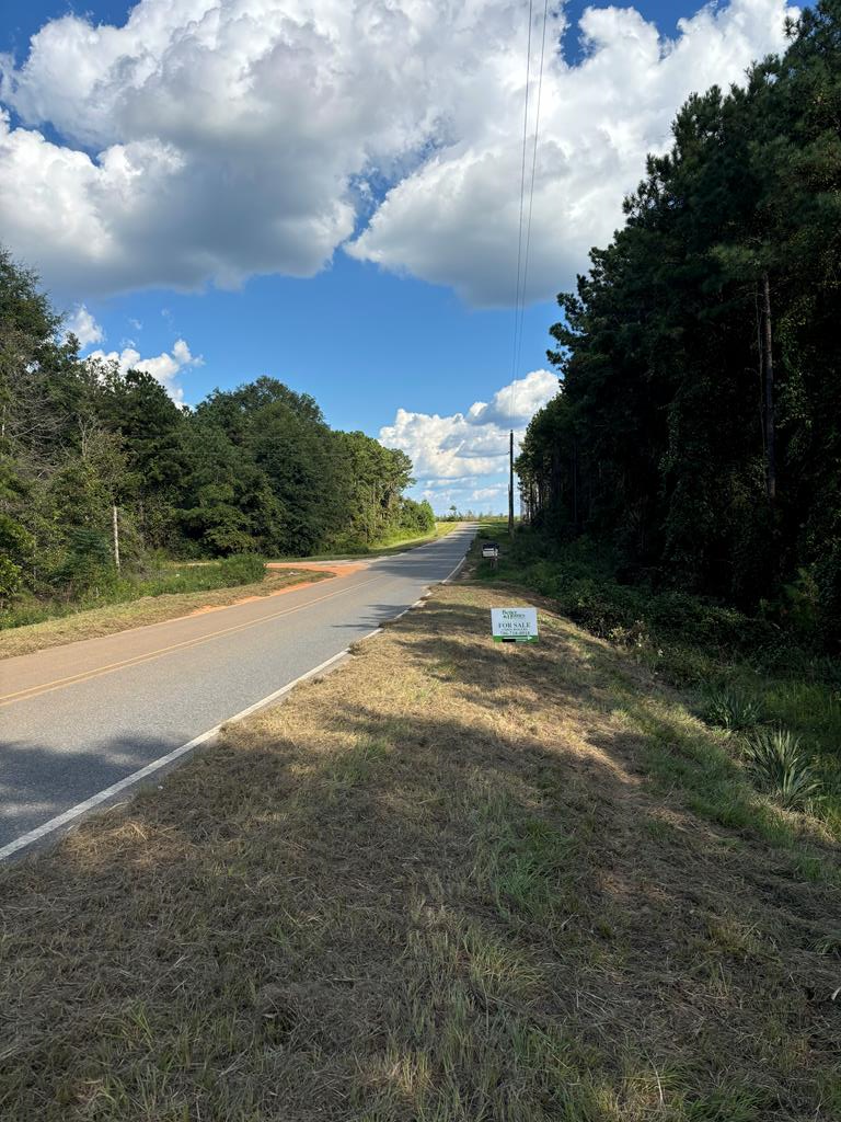 346 Kirkland Store Road Mauk, GA 31058 - Photo 7 of 10 Paved road frontage along Kirkland Store Rd
