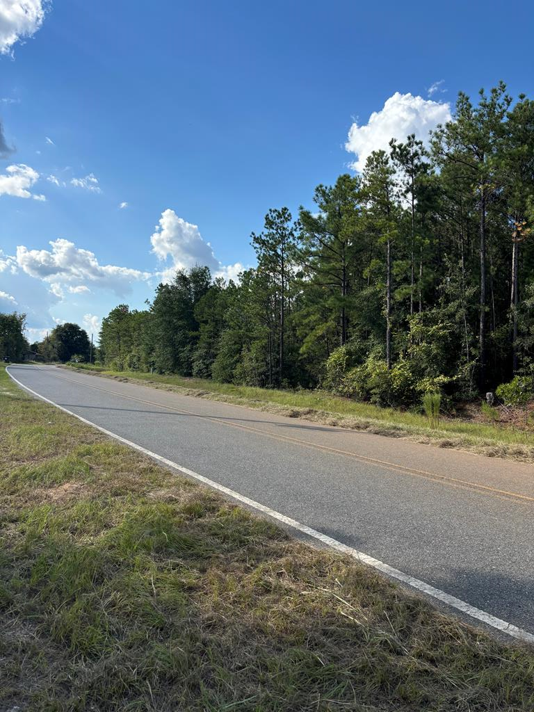 346 Kirkland Store Road Mauk, GA 31058 - Photo 8 of 10 Paved Road Frontage on Kirkland Store Rd