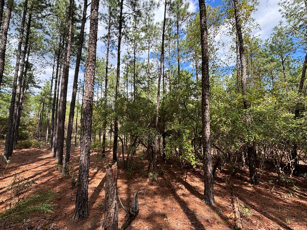 346 Kirkland Store Road Mauk, GA 31058 - Photo 10 of 10 Gallery Image 10