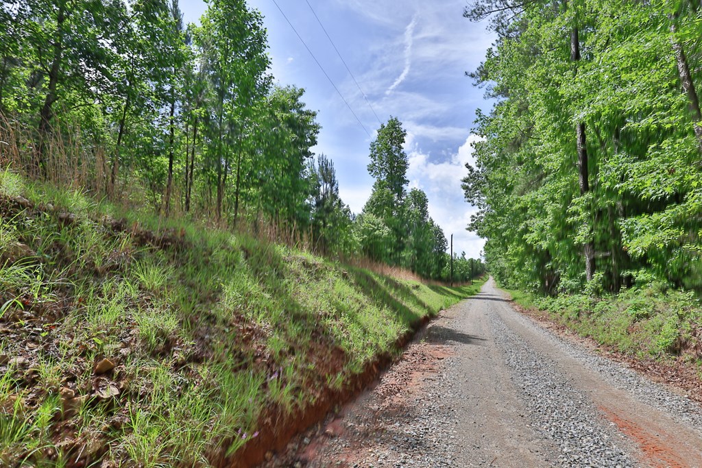 0 North Porter Road Shiloh, GA 31826 - Photo 23 of 32 Gallery Image 23