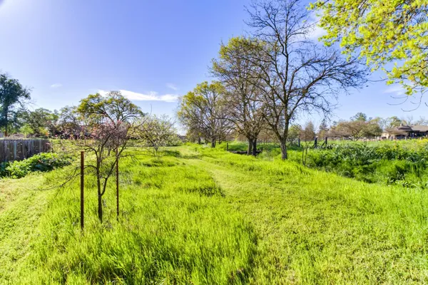 a view of a garden with a bench