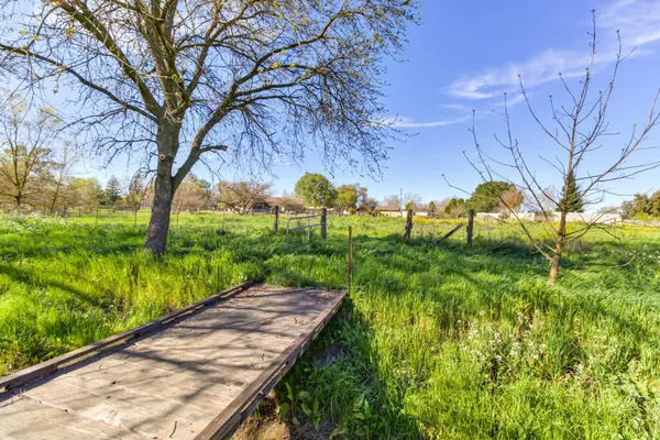 a view of a yard in a field