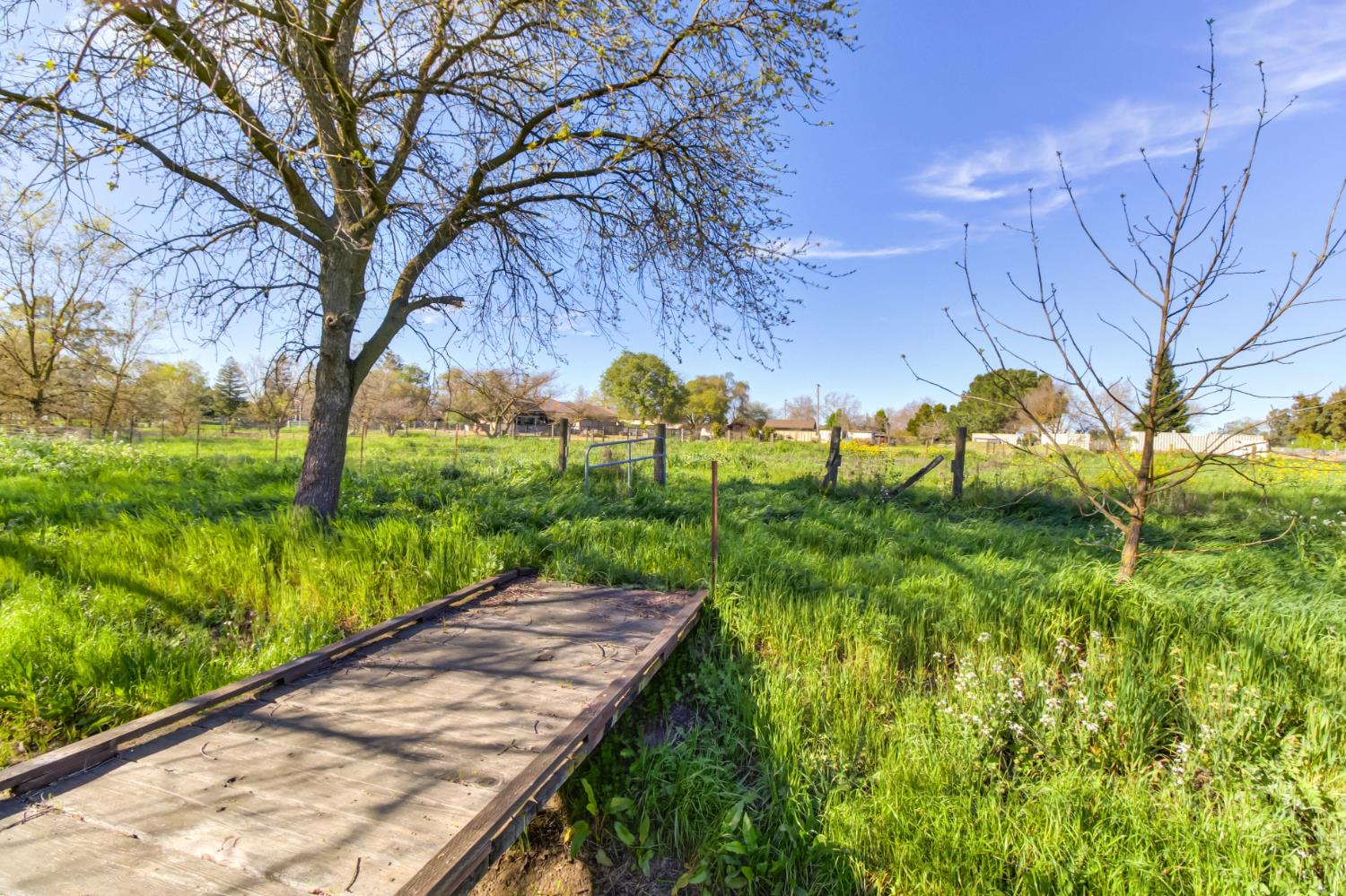 9835 Harvey Road Galt, CA 95632 - Photo 26 of 46