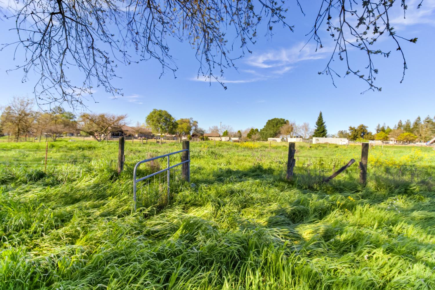 9835 Harvey Road Galt, CA 95632 - Photo 27 of 46
