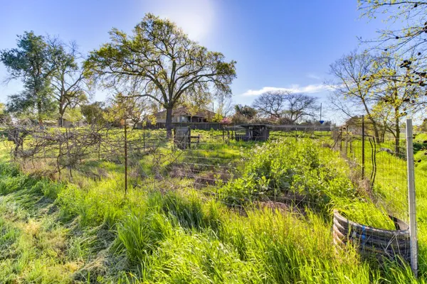 a backyard of a house with lots of green space