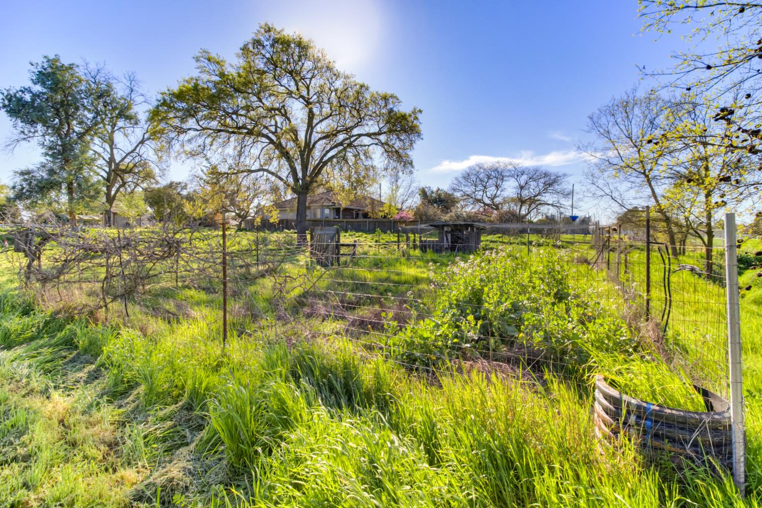 9835 Harvey Road Galt, CA 95632 - Photo 29 of 46