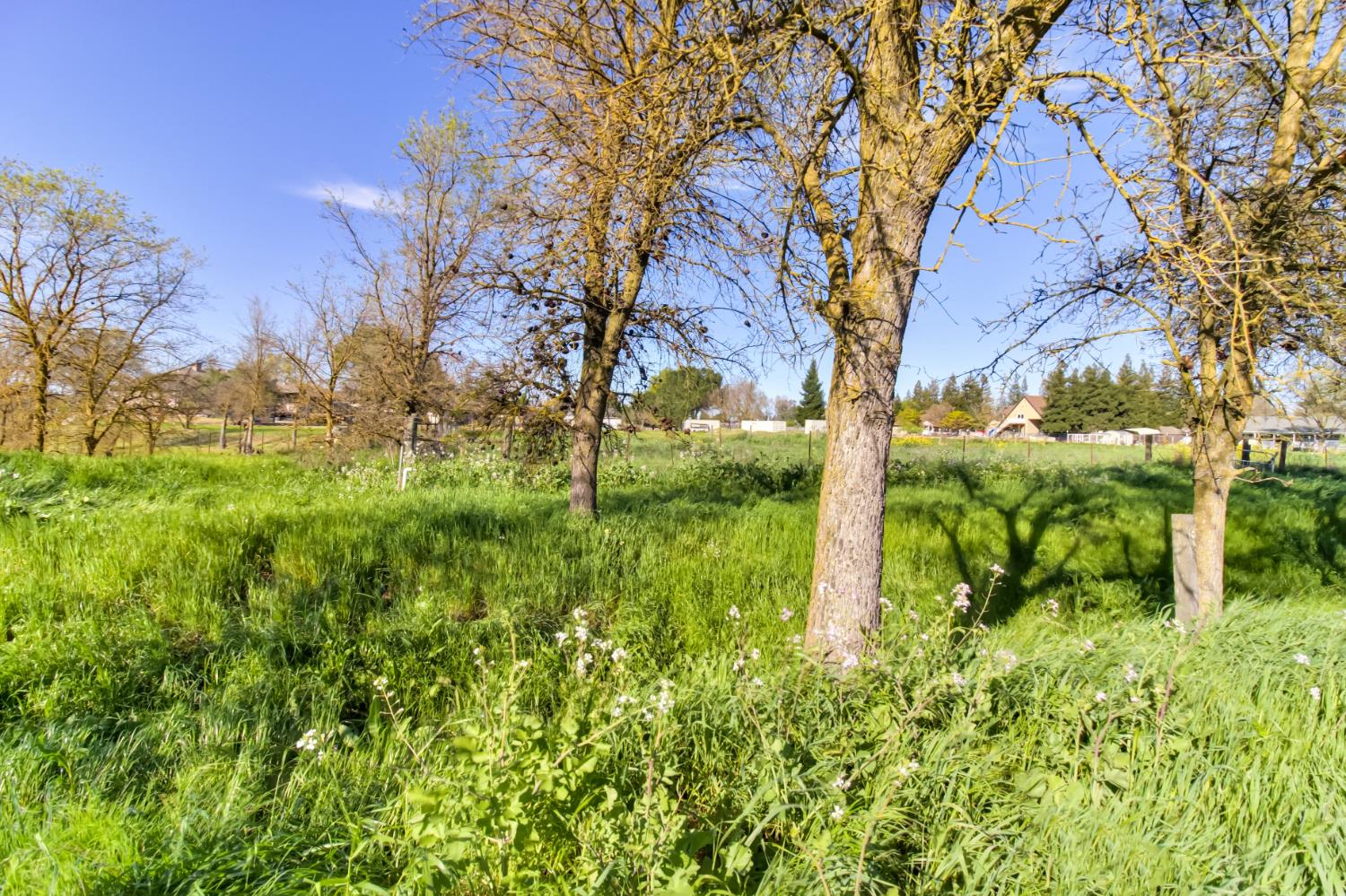 9835 Harvey Road Galt, CA 95632 - Photo 30 of 46