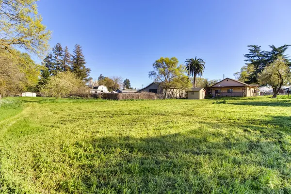 a view of a large yard with lots of green space